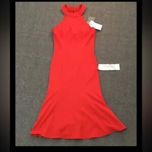 Dress the Population Dress size Small NWT